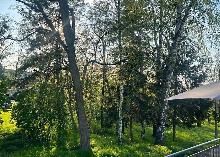 Auberge de jeunesse Alliance *