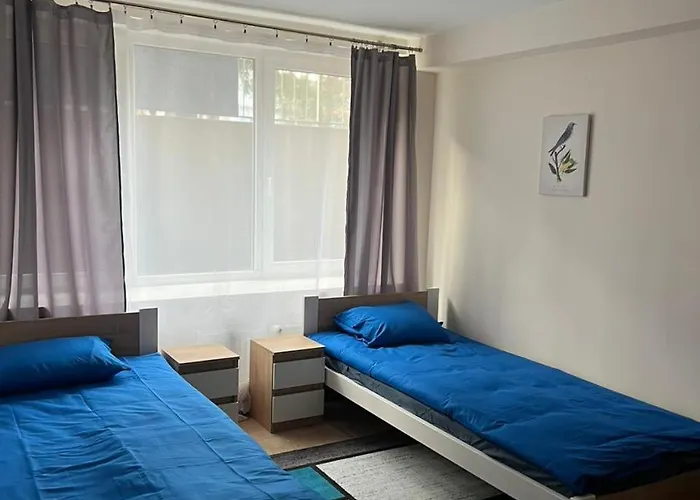 Auberge de jeunesse Alliance